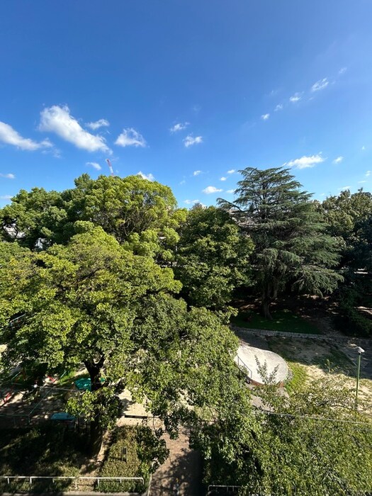 物件内観写真22　(室内からの展望)