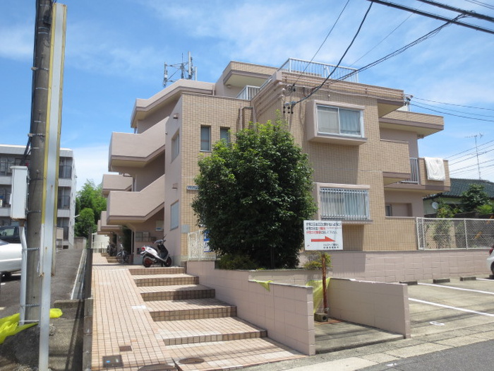 ヒルズトップ