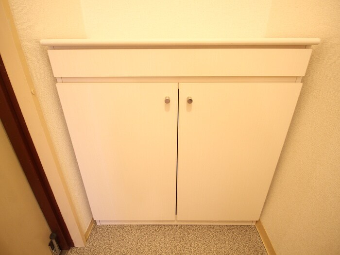 物件内観写真19　(靴箱)