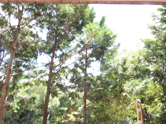 物件内観写真16　(室内からの展望)