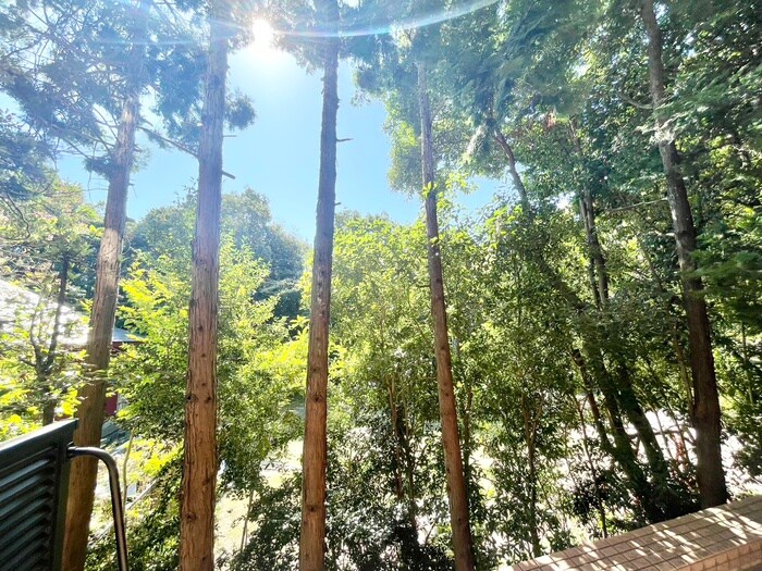 物件内観写真22　(室内からの展望)