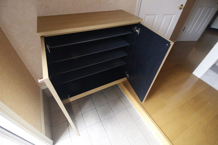 物件内観写真21　(靴箱)