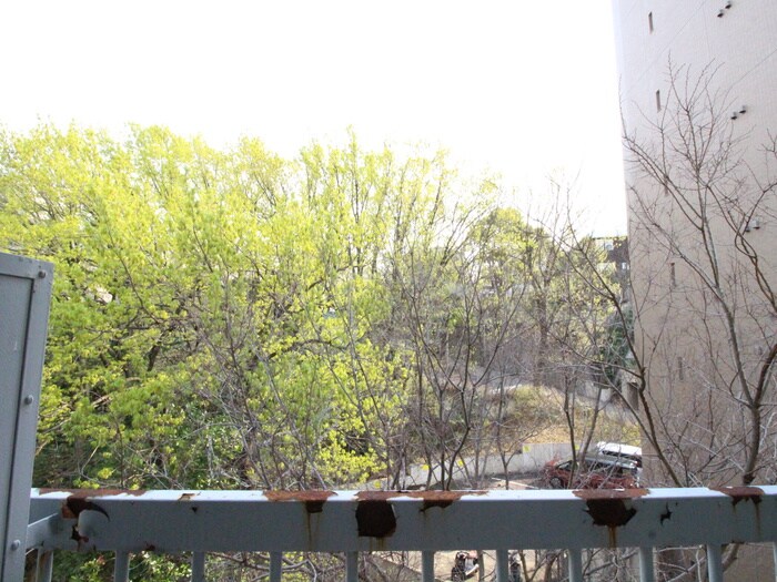 物件内観写真15　(室内からの展望)