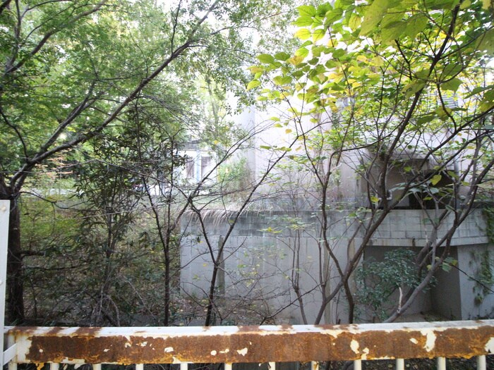 物件内観写真16　(室内からの展望)