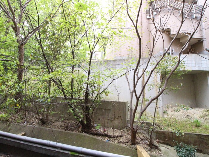 物件内観写真17　(室内からの展望)