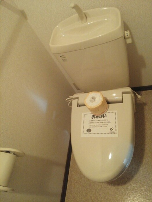 物件内観写真11　(トイレ)