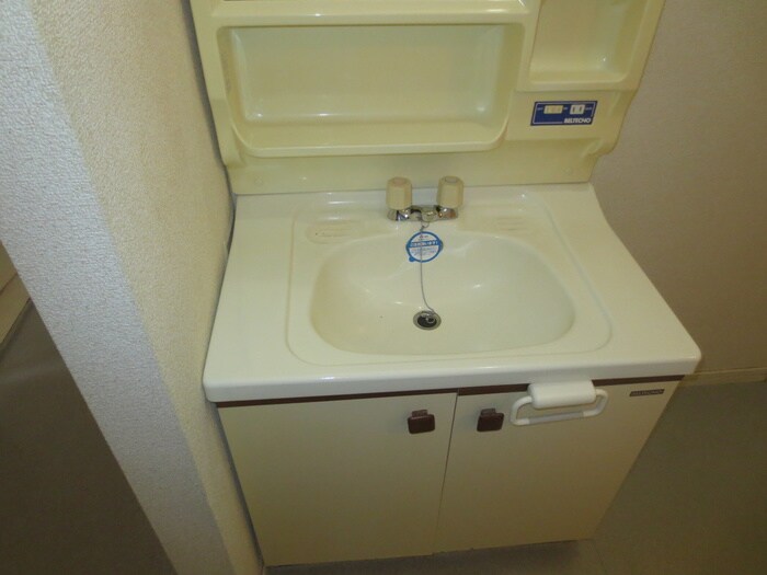 パピヨン　タナカの洗面