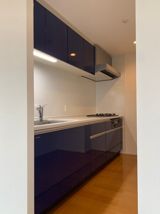 物件内観写真10　(キッチン)