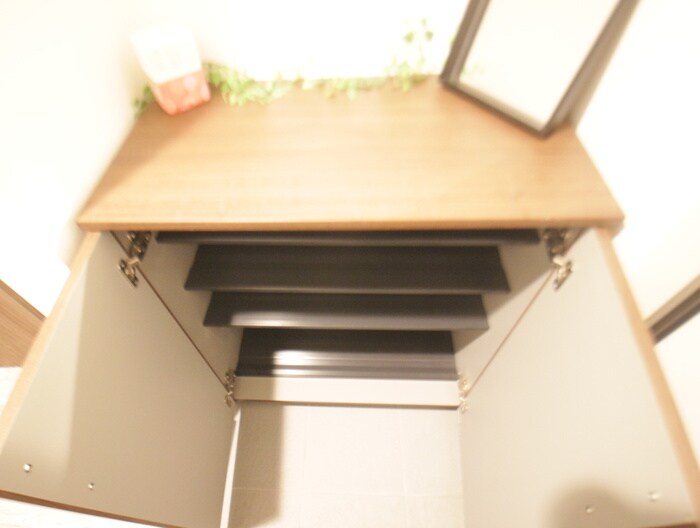 物件内観写真17　(靴箱)