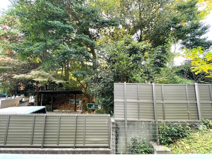 物件内観写真17　(室内からの展望)