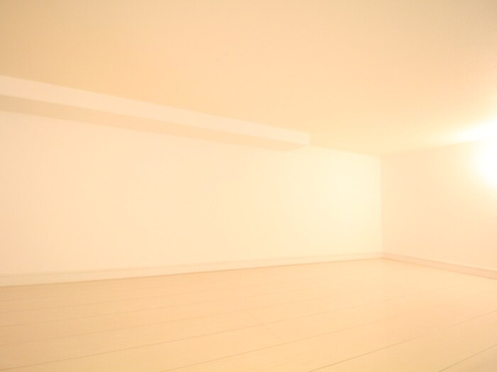 物件内観写真10　(ロフト)