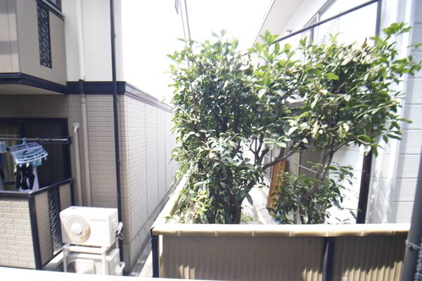 室内からの展望