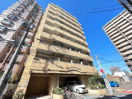 ダイアパレス新出来（401）外観写真