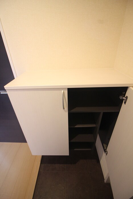 物件内観写真20　(靴箱)