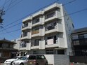 Court本陣
