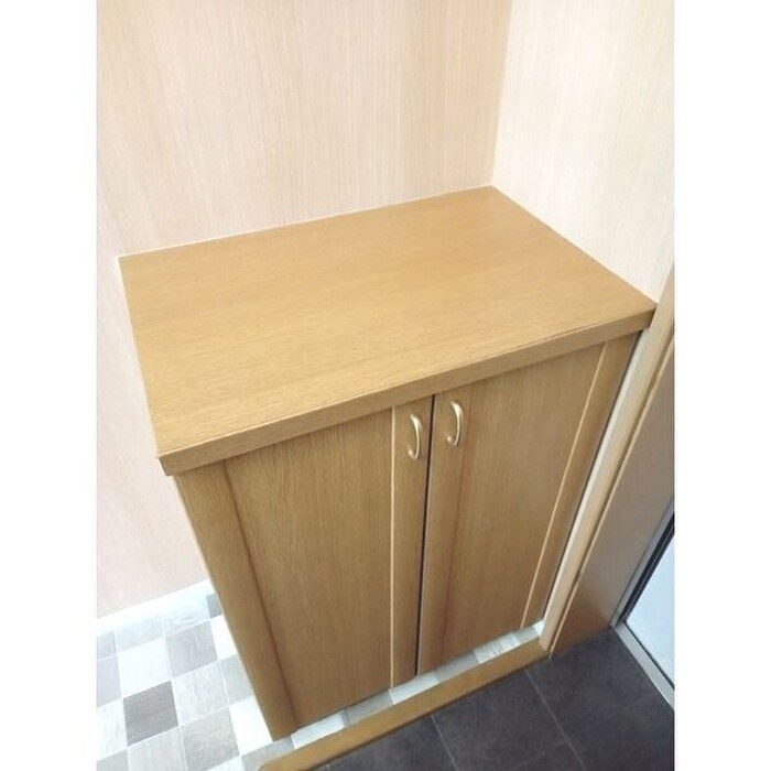 物件内観写真8　(靴箱)