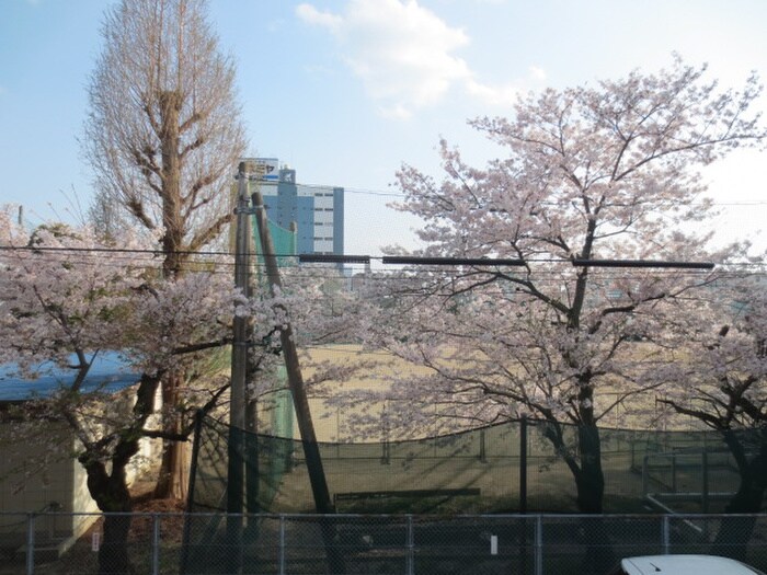 物件内観写真19　(室内からの展望)