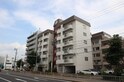 丸美ﾊﾟｰｸﾏﾝｼｮﾝ石川橋(205)