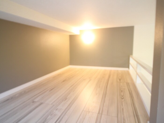 物件内観写真19　(ロフト)