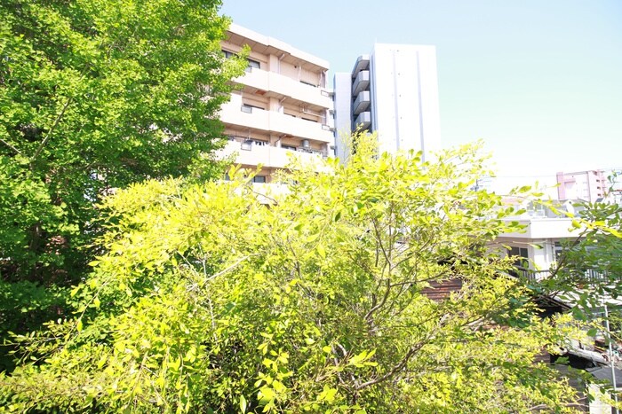 物件内観写真21　(室内からの展望)