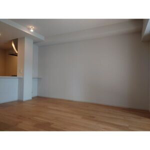 物件内観写真3　(居室)