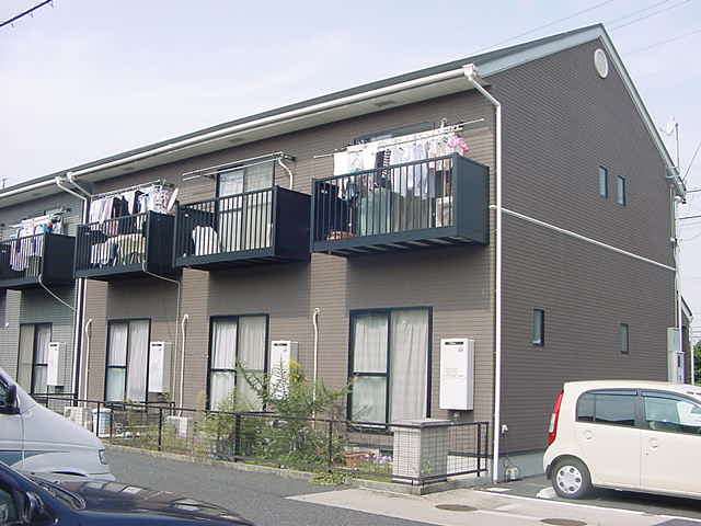 セルト１