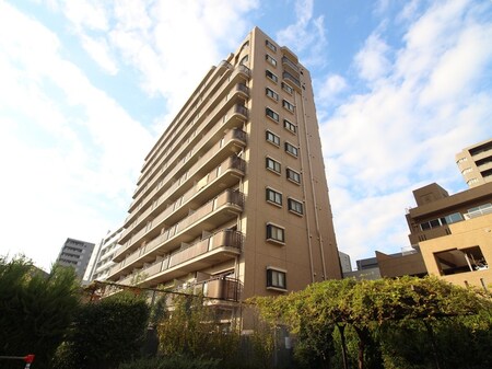 ﾗｲｵﾝｽﾞﾏﾝｼｮﾝ徳川（301）外観写真