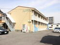 パレスサン