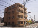 ムーンスター浅野