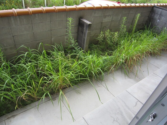 物件内観写真19　(ベランダ・バルコニー)