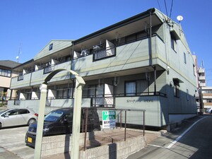 エバ－グリ－ンオモダカ外観写真