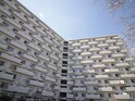 中富住宅D棟（503）