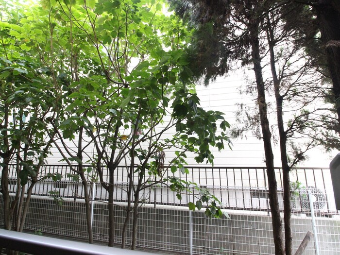 物件内観写真20　(室内からの展望)