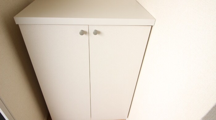 物件内観写真15　(靴箱)