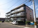 クリアサイト横吹