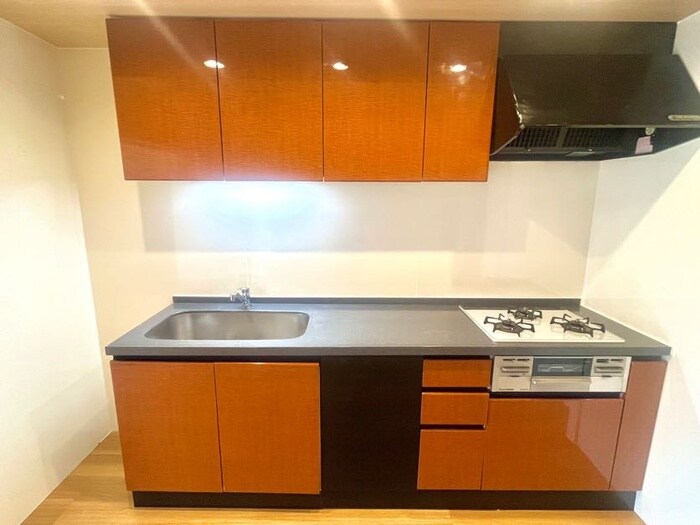 物件内観写真10　(キッチン)