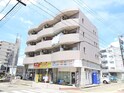 ドミシル野並