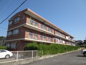パレスブライトヒルズ外観写真