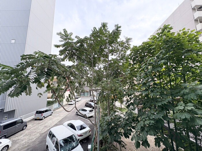 物件内観写真22　(室内からの展望)