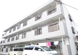ﾊﾟｲﾝﾌﾗｯﾄﾏﾝｼｮﾝ外観写真