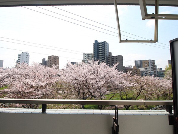 室内からの展望