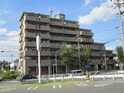 グレイス伸和