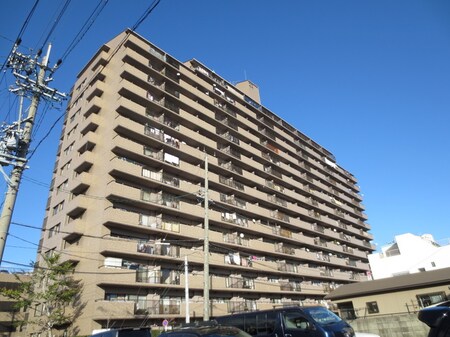 鳥見ﾊﾟ-ｸ･ﾏﾝｼｮﾝ三番街南棟(911)外観写真