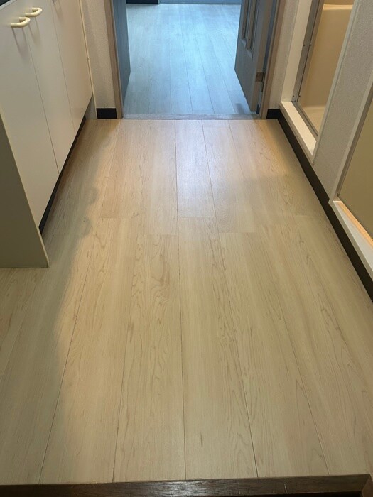 物件内観写真5　(廊下)