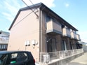 ＭＡＩＳＯＮ　ＡＹＡＮＡ