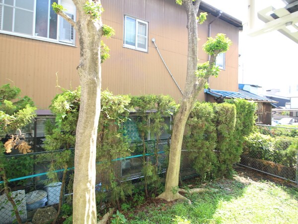 室内からの展望