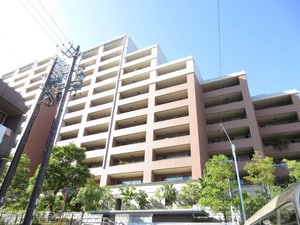 ｸﾞﾗﾝﾄﾞﾒｿﾞﾝ星が丘山手C棟(313)外観写真