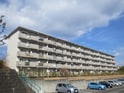 岩成台西団地　５０１棟　(503)
