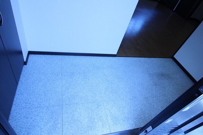 物件内観写真12　(玄関)
