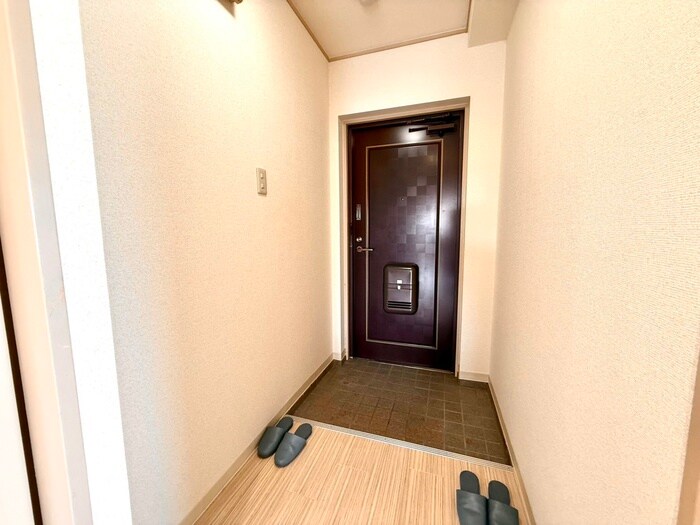 物件内観写真10　(玄関)